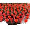 Outdoor-Hochzeit Doppeltes Glück Laternenflagge – Hofdekoration mit ausgestanztem Zugblumen-Design