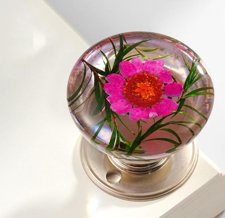 Vintage Round Cabinet Knobs Resin Crystal Drawer Cabinet Knobs Transparent Animal Epoxy Pull Handles for Wardrobe Dresser