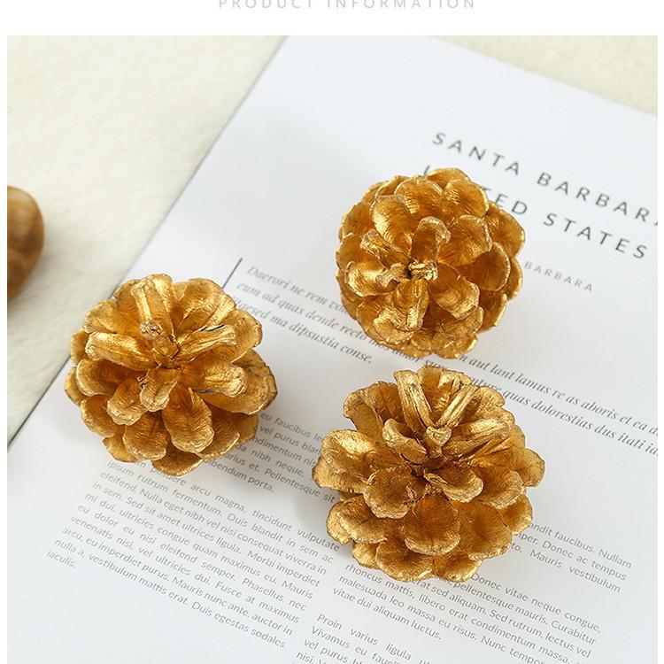 Amerikansk tall- och grankotte: 1-15 cm torkade lärkblommor för DIY-dekoration