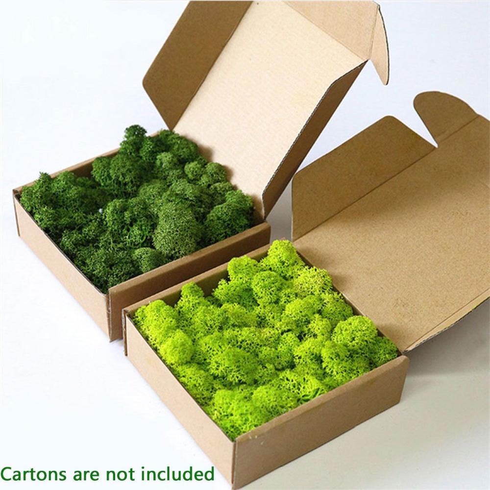 Decor Christmas Wedding Decoration Artificial Plant Reindeer Moss Micro Landscape Eternal Life Moss