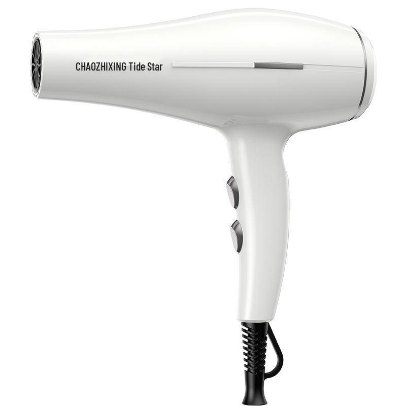 High-Power Hair Salon Dryer for Homes