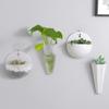 No Punching Flower ArrangementVase Hydroponic Vase Plant Container Flower Pot Levitating Plant Vase