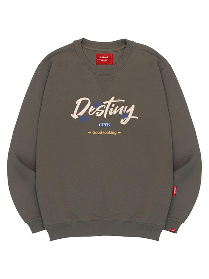 Ellamo Destiny Sweatshirt Unisex Big Size S~4Xl (A Type)