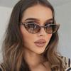 New Women'S Classic Cat Eye Sunglasses Fashion Brand Designer Eyeglasses  Spicy Girl Outdoor Street Photography Shades
