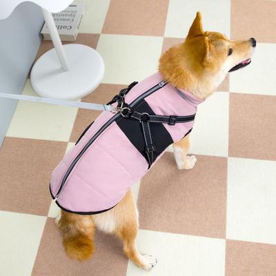Kleding en schoenen – Jassen voor honden