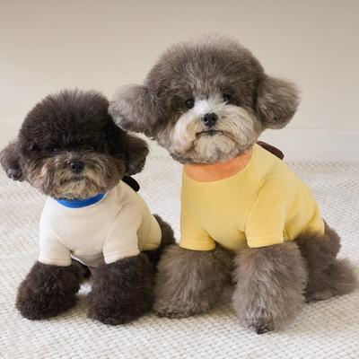 Bekleidung & Schuhe – Hundehoodies