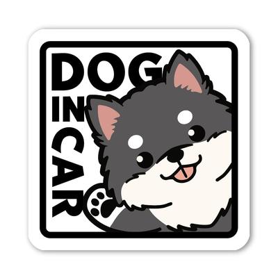 Accesorios de exterior – Pegatinas para automóviles