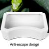 Reptile Water Bowl Plastic Food Grade Water Box Feeder Reptile Food Water Dish Pet