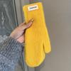 Solid Color Knit Wool Gloves Winter Women's New Velvet Warm Windproof Cold Student Riding Tide