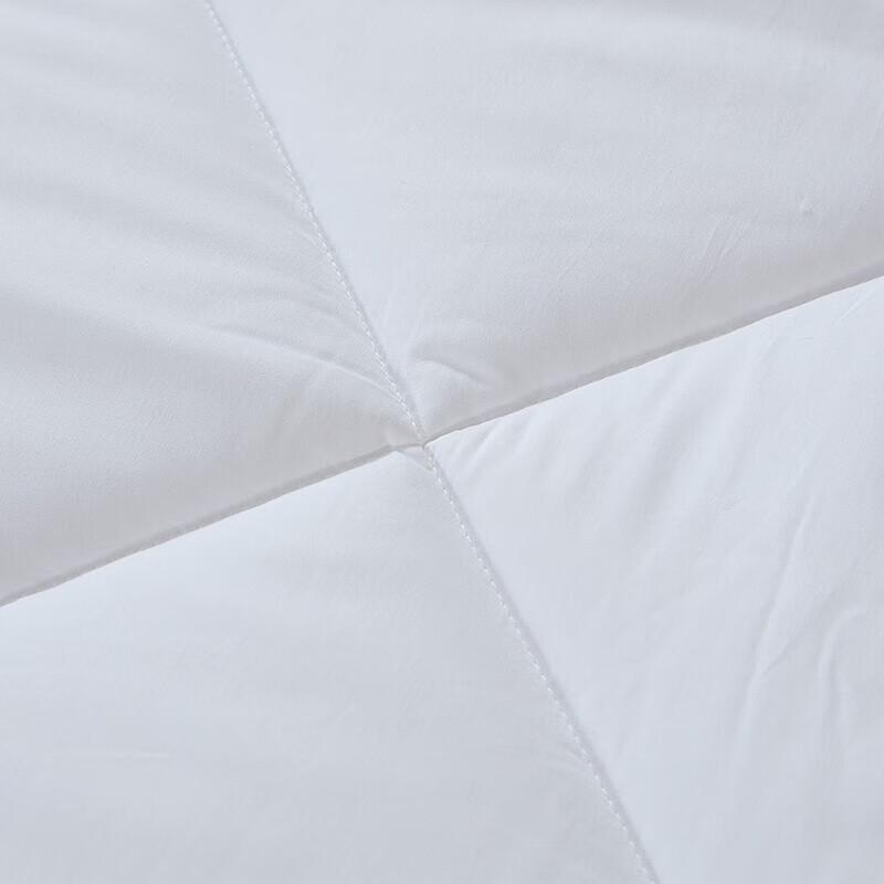 Fuanna All-Season Warm Quilt