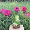 Resin Garden Frog Statue Cartoon Miniatures Figurine Crafts Animal Sculpture  Fish Tank