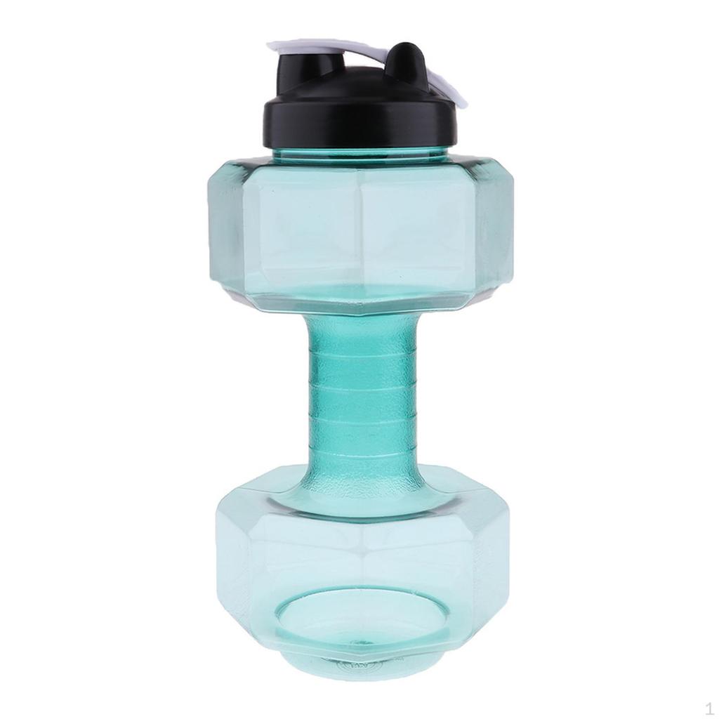 Companion for Fitness Enthusiasts