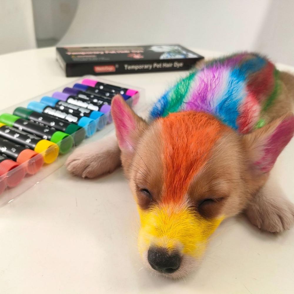 Stick colorante specifico per peli di animali, non danneggia i peli, facile da pulire, pasta colorante per peli, colorante per peli di cane, uso anima