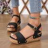Fashion 2025 Ladies Shoes Peep Toe Women's Sandals Fashion Rivet Summer Casual Buckle Strap New Plus Size Comfortable Wedge Sandals