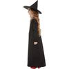 Smiffys Girls Wicked Witch Costume Set