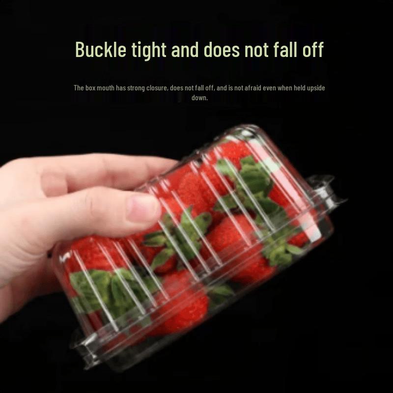 Disposable Rectangular Transparent Plastic Fruit Box with Lid