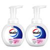 Walch Foaming Antibacterial Hand Wash
