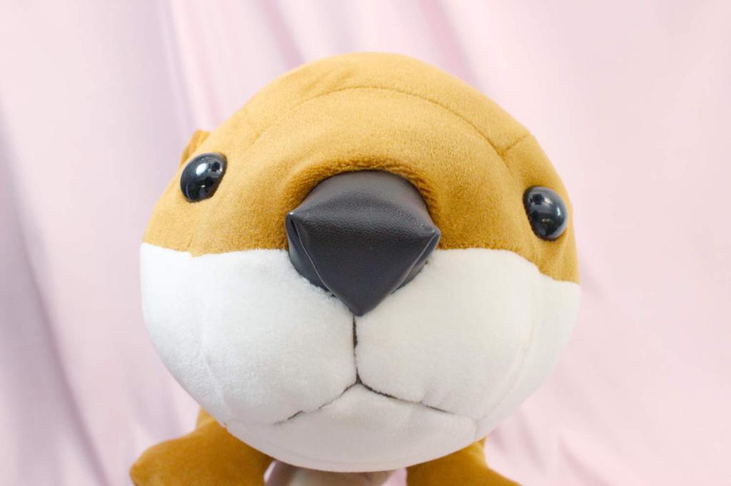 Cotton Cloudy M Otter Brown