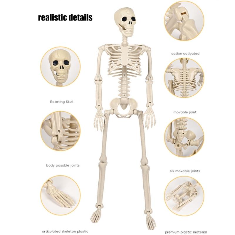 Lebensgroßes Skelett, beweglicher Ganzkörper-Halloween-Dekoration mit beweglichen Gelenken für furchterregende Party-Requisiten für Spukhäuser