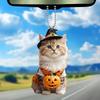Accesorii pentru interiorul mașinii – Jucării auto şi decorațiuni