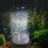 Air Stone for Aquariums Fish Tank Bubble Stone Replacement Disk Oxygen Pan Aquariums Accessories
