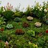 14pcs/set 13~15mm*10mm Simulated Flower Clusters Multicolors Landscape Wargame Grass Tufts