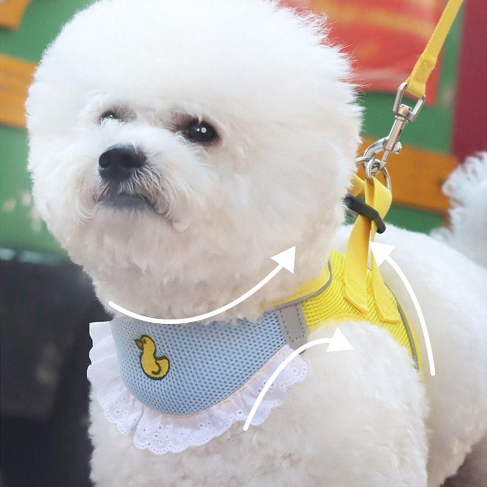 Escape Proof Dogs Collar Vest Breathable Pet Harness Leash Cute Pet Harness and Leash Set  Outdoor