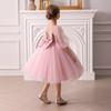 International Little Girl's Party & Performance Princess Dress