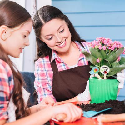 20 Stück Holzpflanzenetiketten Rustikale Pflanzenetiketten 20 Stile Gartenmarkierungs-Etiketten für Topfpflanzen Pflanzgefäß Blumenbeet