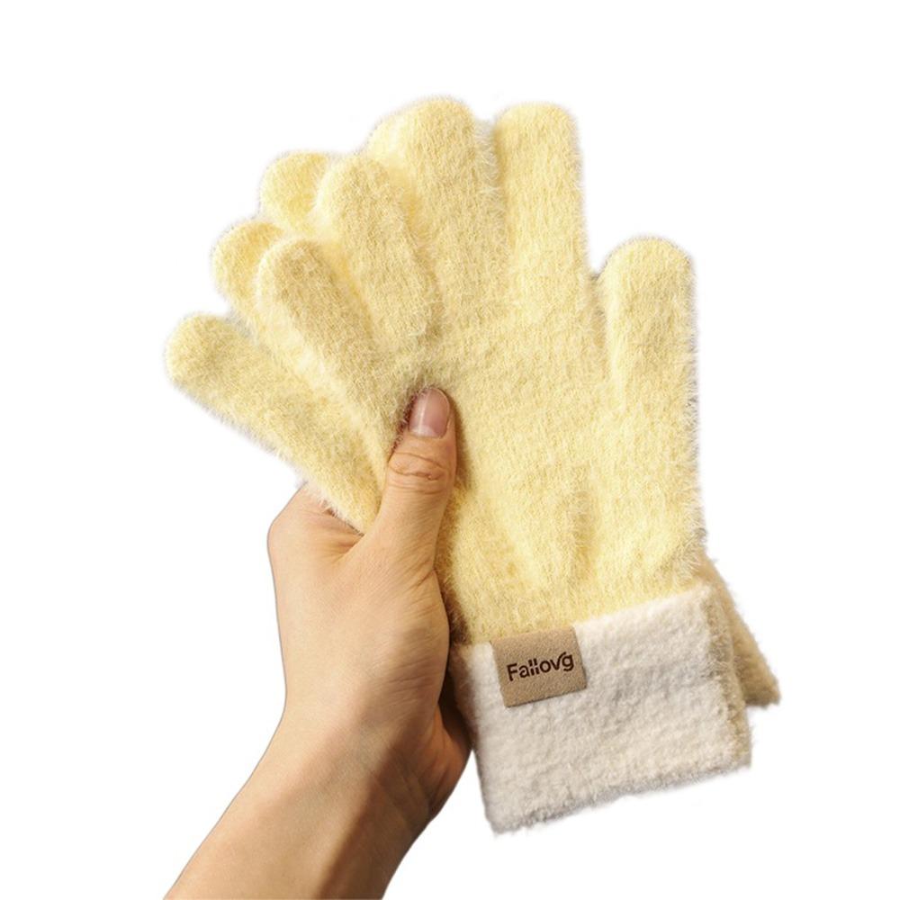 Thickened Winter Gloves Windproof Knitted Gloves Fashion Warm Gloves Women