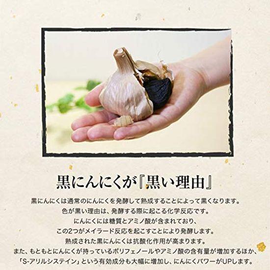 Marine Shoji Easy Black Garlic Fermenter DX At Home Ki-00239