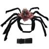 Spider and Skull Costume for Small to Medium Pets