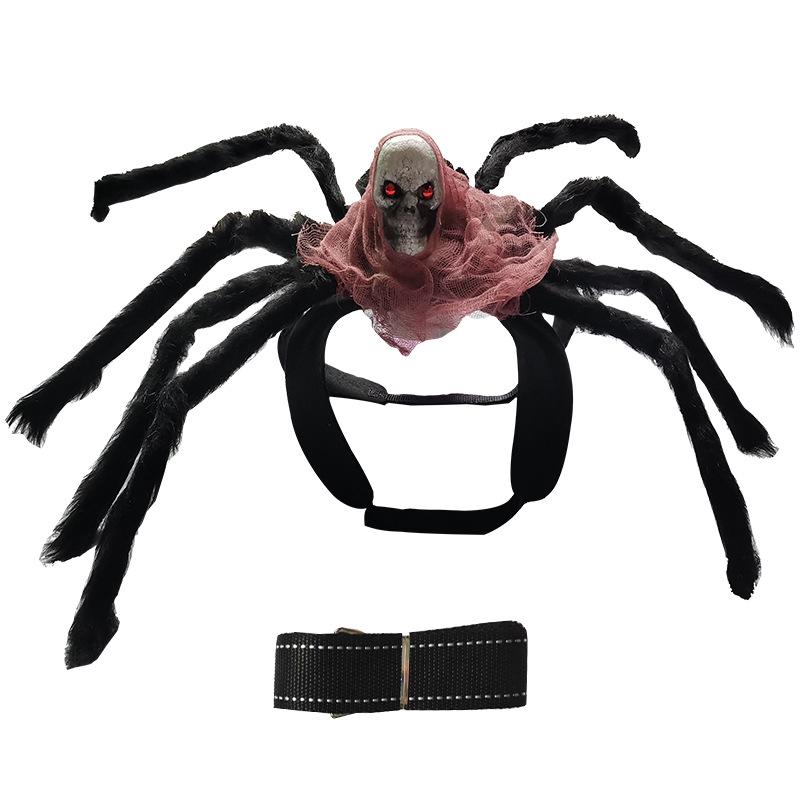 Spider and Skull Costume for Small to Medium Pets