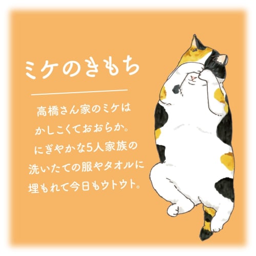 Cat's Feelings Nyanwari Steam Lazy Eye Mask, Mike's Feelings, 5-Count, Soft Linen Scent, Hot Eye Mask