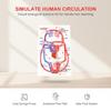 Human Body Circulatory System Model Diy Science Experiment Kit Kids Educational Toy For School Biology Teaching Learning