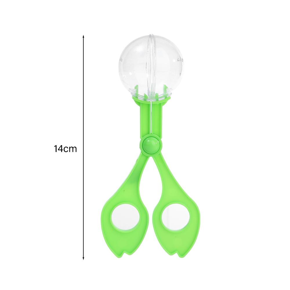 Kids Outdoor Adventure Insect Catching Toy Safe Multi-functional Trap Insect Clip Tool Set Student Adventure Science Puzzle Toys