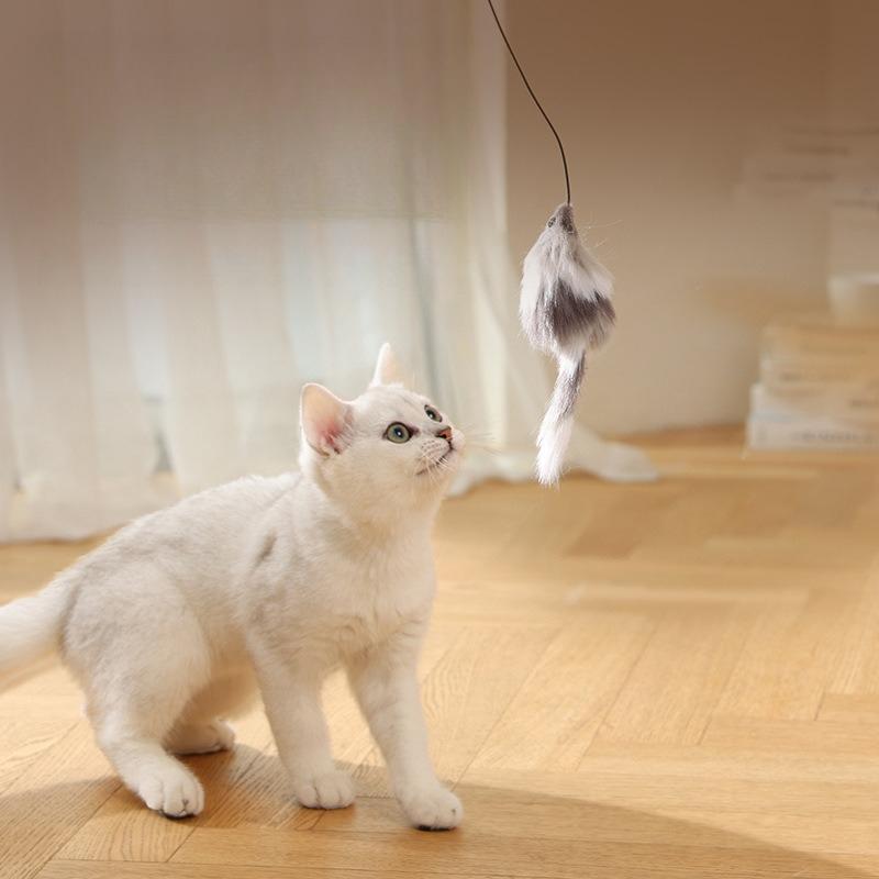 Cat Ball Toys Interactive Automatic Rolling Ball Toy for Cats Kittens Teasing Cat Balls with Mouse Pet Supplies