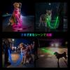 LED Dog 7 USB Rechargeable Lead with Reflective for Night Suitable for Medium and Large 4 Lightweight and Durable Design Light-Up Lead, Modes,
