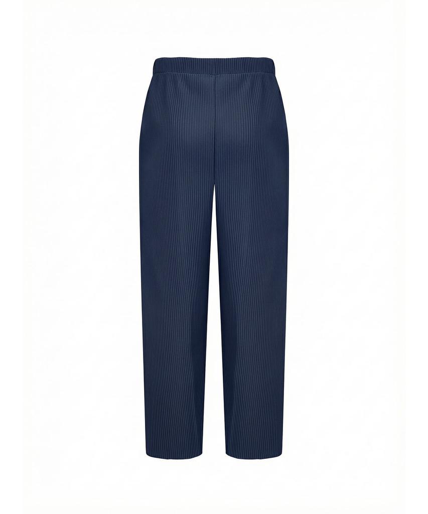 Akebteu Pt11X Pleated Wide Pintuck Pants [Navy]