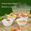 Temeiju Eco-Friendly Disposable Corn Starch Bowls
