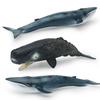 Simulation Of Marine Animals 2 Whale Models Children'S Cognition Of Underwater Creatures Sperm Whale Blue Whale Static Ornament