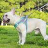 Reflective Vest-Style Pet Harness with Leash - Breathable for Cats & Dogs