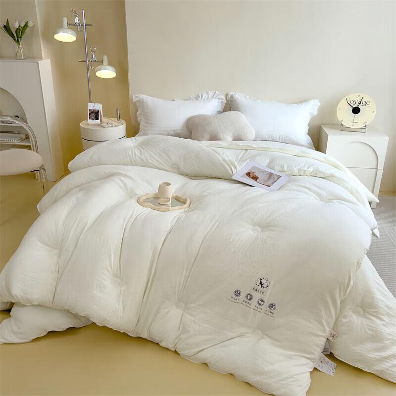 DZQ Thickened Warm 2-in-1 Winter Duvet