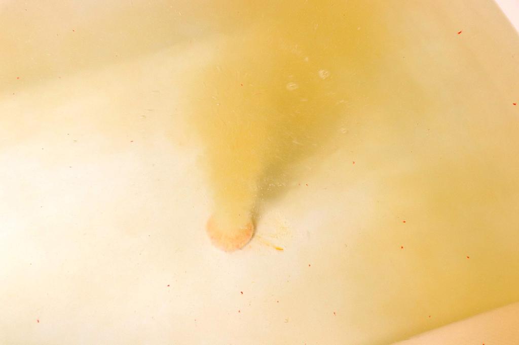 Warm Foam Carbonated Bath Additive with Herbal Medicine and Yuzu Promotes Blood Circulation Stiff Lower Back and Sensitivity To by Earth