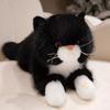 The Simulation Will Be Called Ragdoll Cat Doll Plush Toy Kitten Doll Girl Ragdoll Birthday Gift