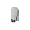 Puma Calções Casuais Respiráveis com Estampa de Renda SS24 Calções Masculinos Cinza Claro Mesclado 683443-04