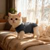 Pet Dogs Spaying Suit Recovery Vest