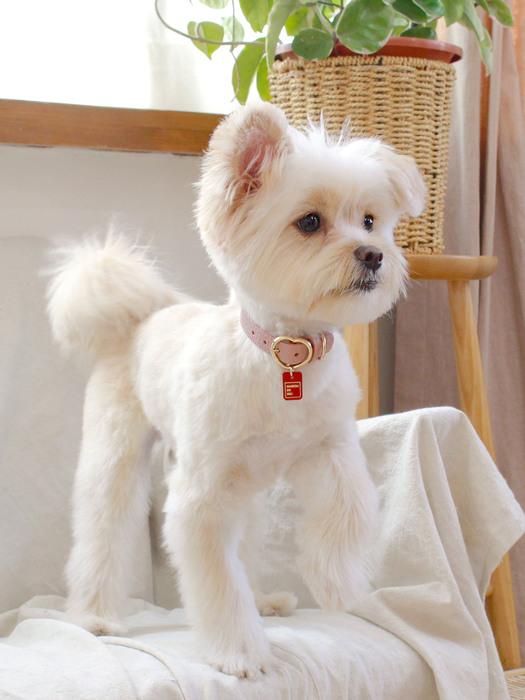 MAISON DE MIU Heart Pendant Collar - Rose Pink Rose Pink