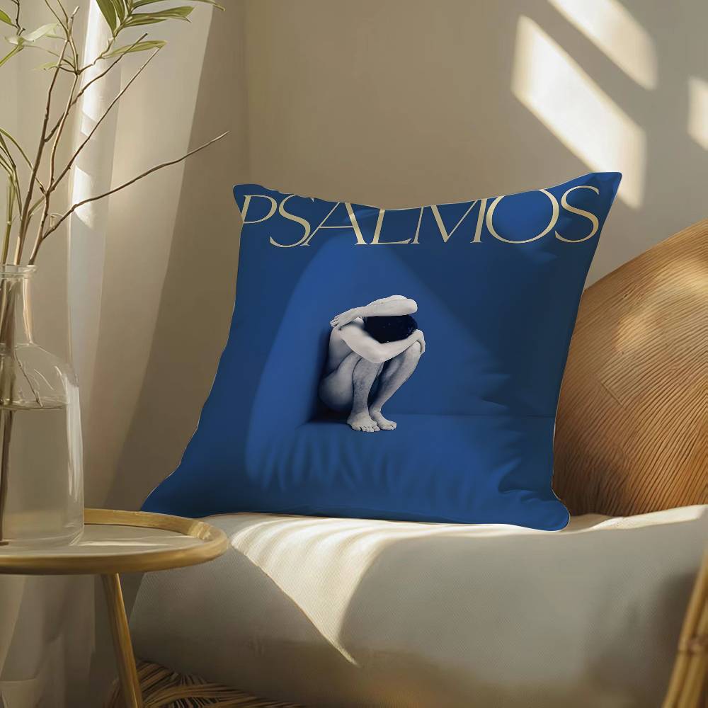 Panda Pendejo Jose Madero-Singer Pillow Case Silky elegant Comfort Sofa Bed  Invisible zipper Beach pillowcase
