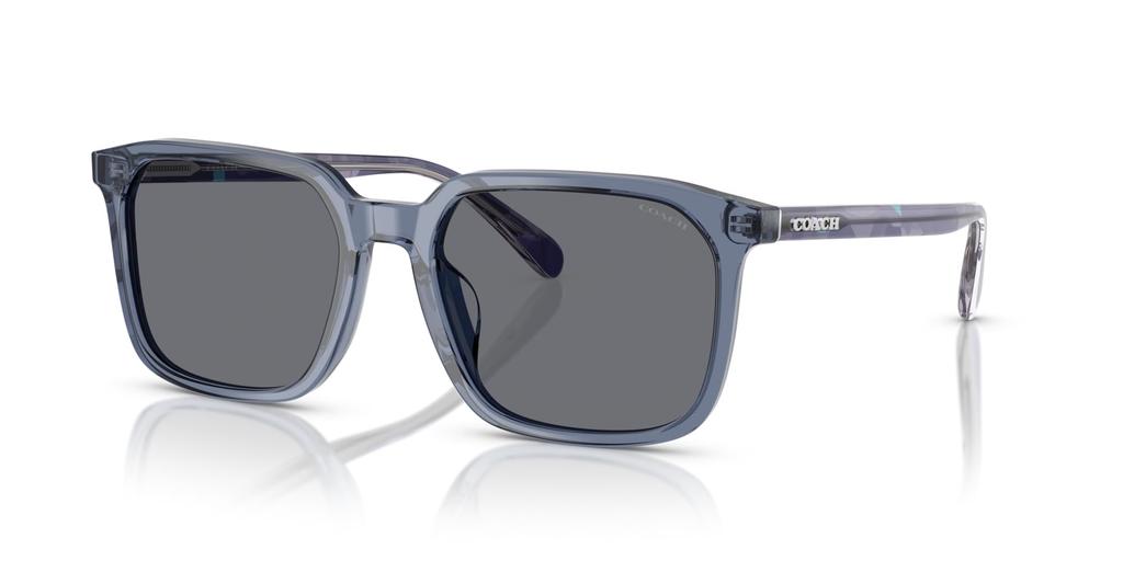 Sunglasses 0HC8411U TRANSPARENT BLUE 55 [Coach]